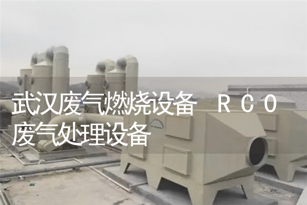 武汉废气燃烧设备 RC0废气处理设备